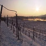 酒店 Wachau -