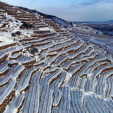 ホテル Wachau -