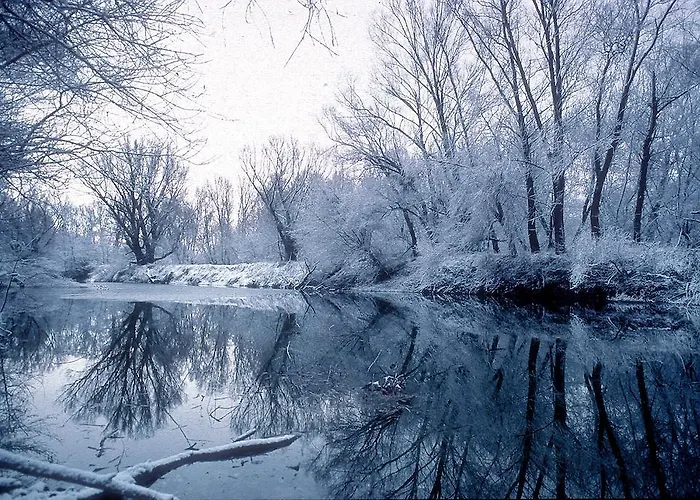 Hotel Wachau - Emmersdorf an der Donau