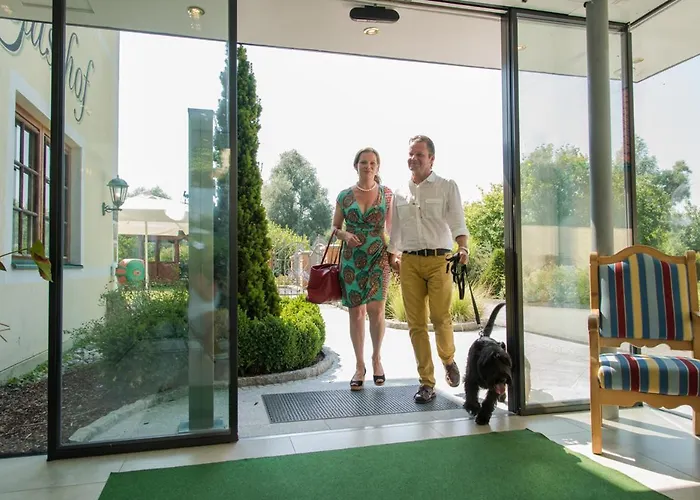 Wachau - 酒店 杜河畔的埃默斯多夫